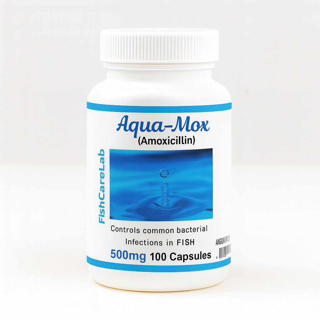 Aqua Mox (Amoxicillin) 500 mg 100 Capsules