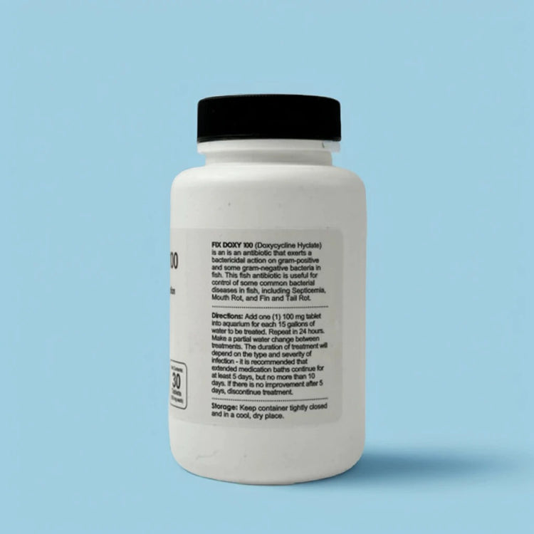 Fish Doxy Bacterial Infection Treatment