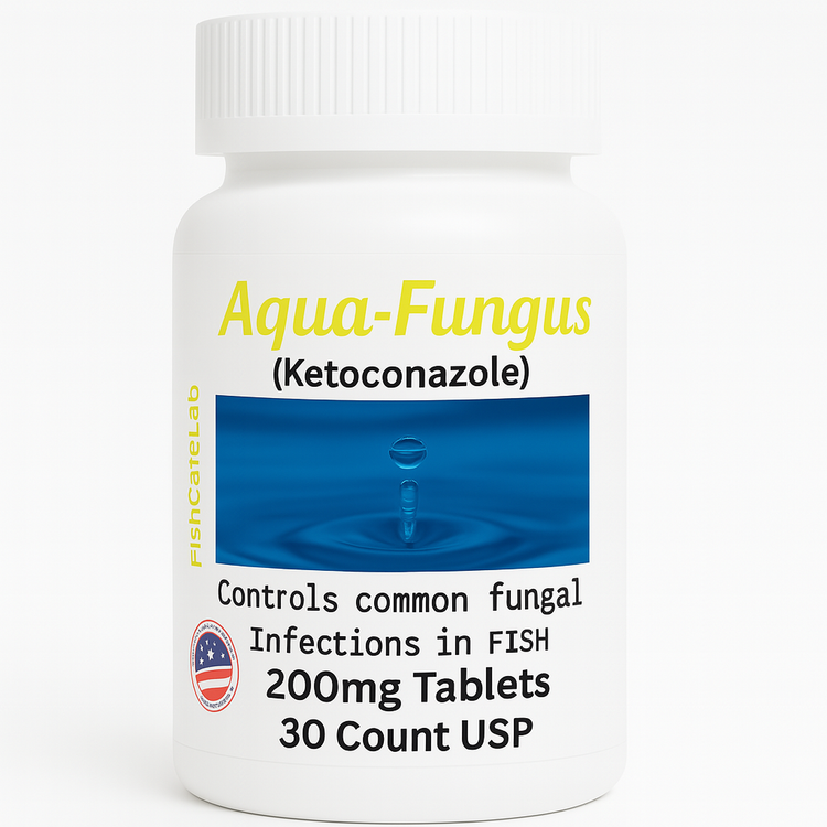 Fish fungus Treatment