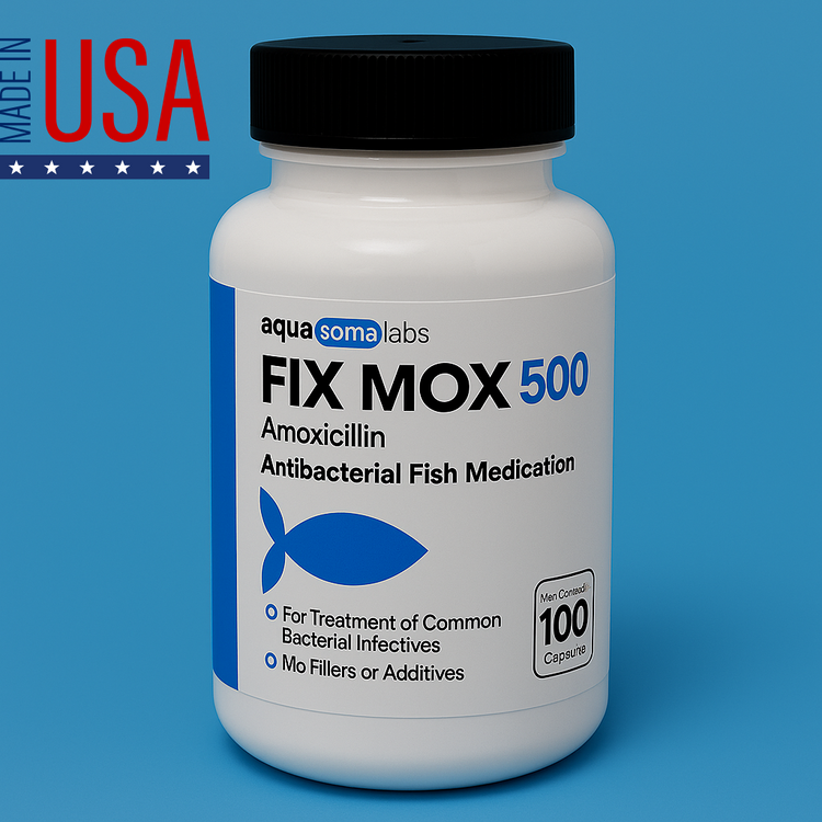 Fish Mox 500mg Antibiotic Capsules