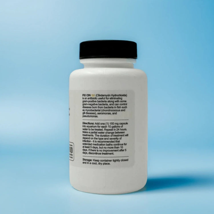Fish Infection Treatment – Fish Cin 100 Count