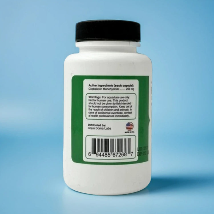 Cephalexin 250mg Aquarium Antibiotic