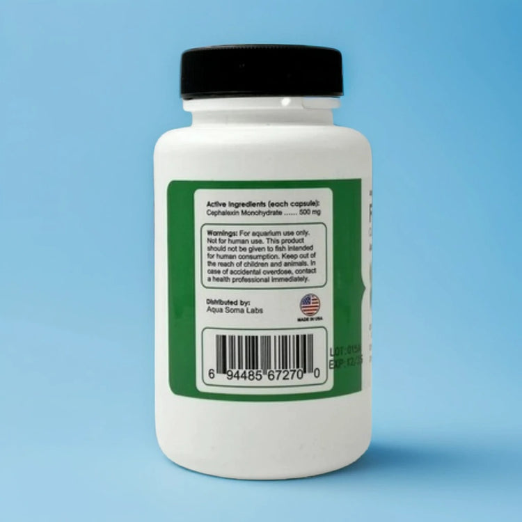 Aquarium Antibiotic Fish Flex 100 Count