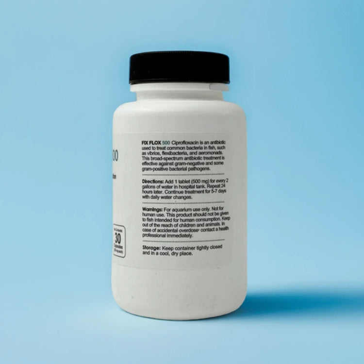 Fish Antibiotic Ciprofloxacin Treatment