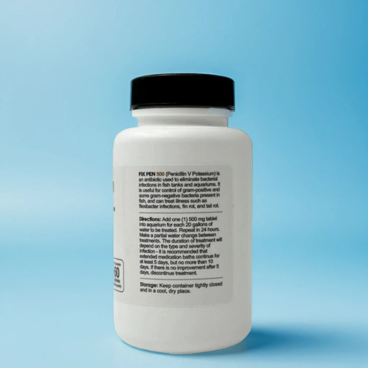 Penicillin Treatment for Aquarium Fish