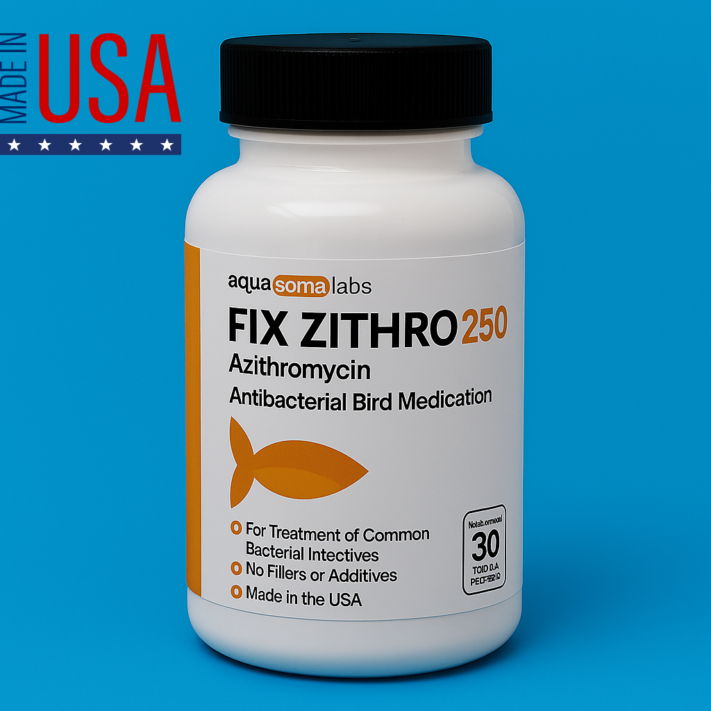 Fish Zithro 250mg Azithromycin Tablets