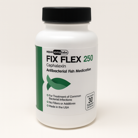 Fish Flex (Cephalexin) 250mg 30 Capsules