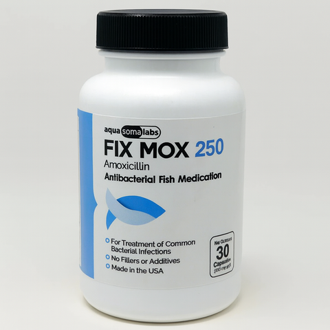Fish Mox (Amoxicillin) 250 mg 30 Capsules