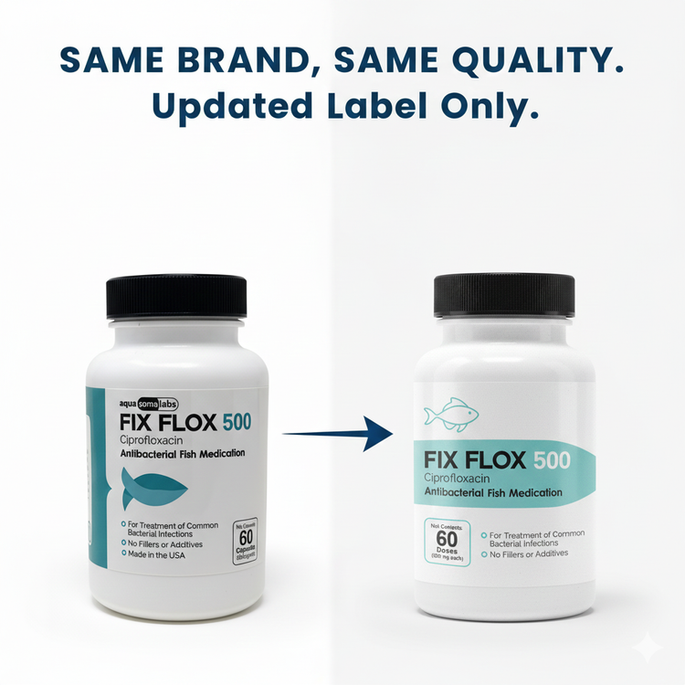 Fish Flox Ciprofloxacin 500 60 Capsules