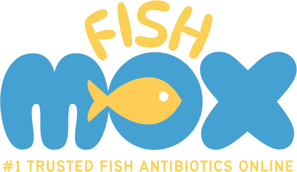 Fish Flex Cephalexin 250mg & 500mg – Buy Aquarium Fish Antibiotics ...