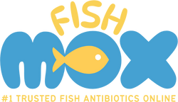 Fish Mox
