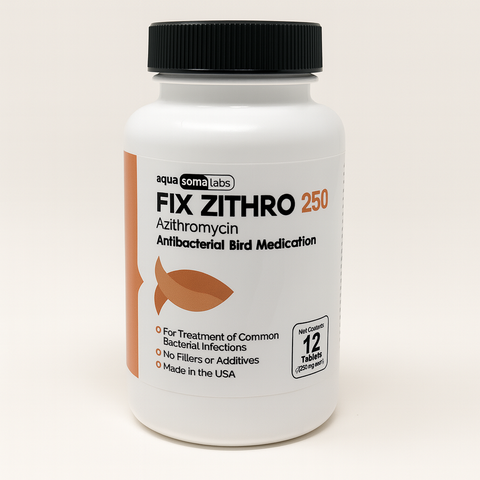 Fish Zithro (Azithromycin) 250mg 12 Tablets