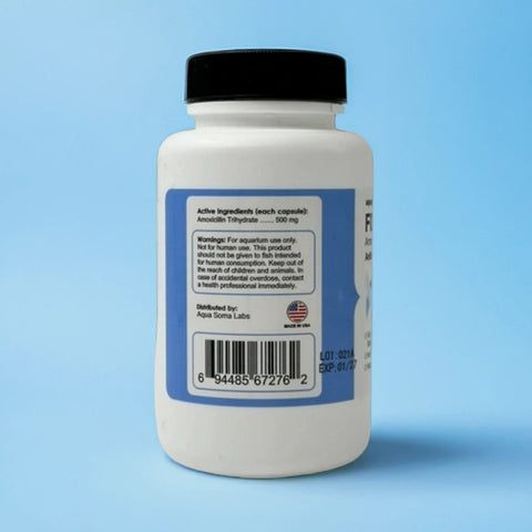 Fish Mox 500mg Antibiotic Capsules