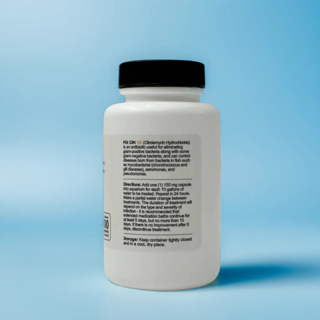 Fish Infection Treatment – Fish Cin 100 Count