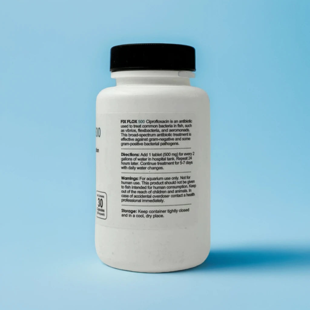 Fish Antibiotic Ciprofloxacin Treatment