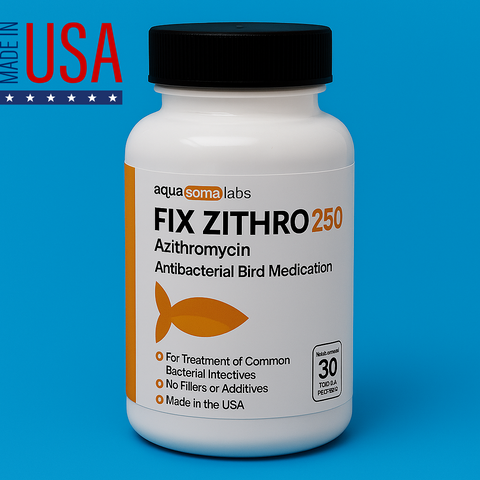 Fish Zithro 250mg Azithromycin Tablets