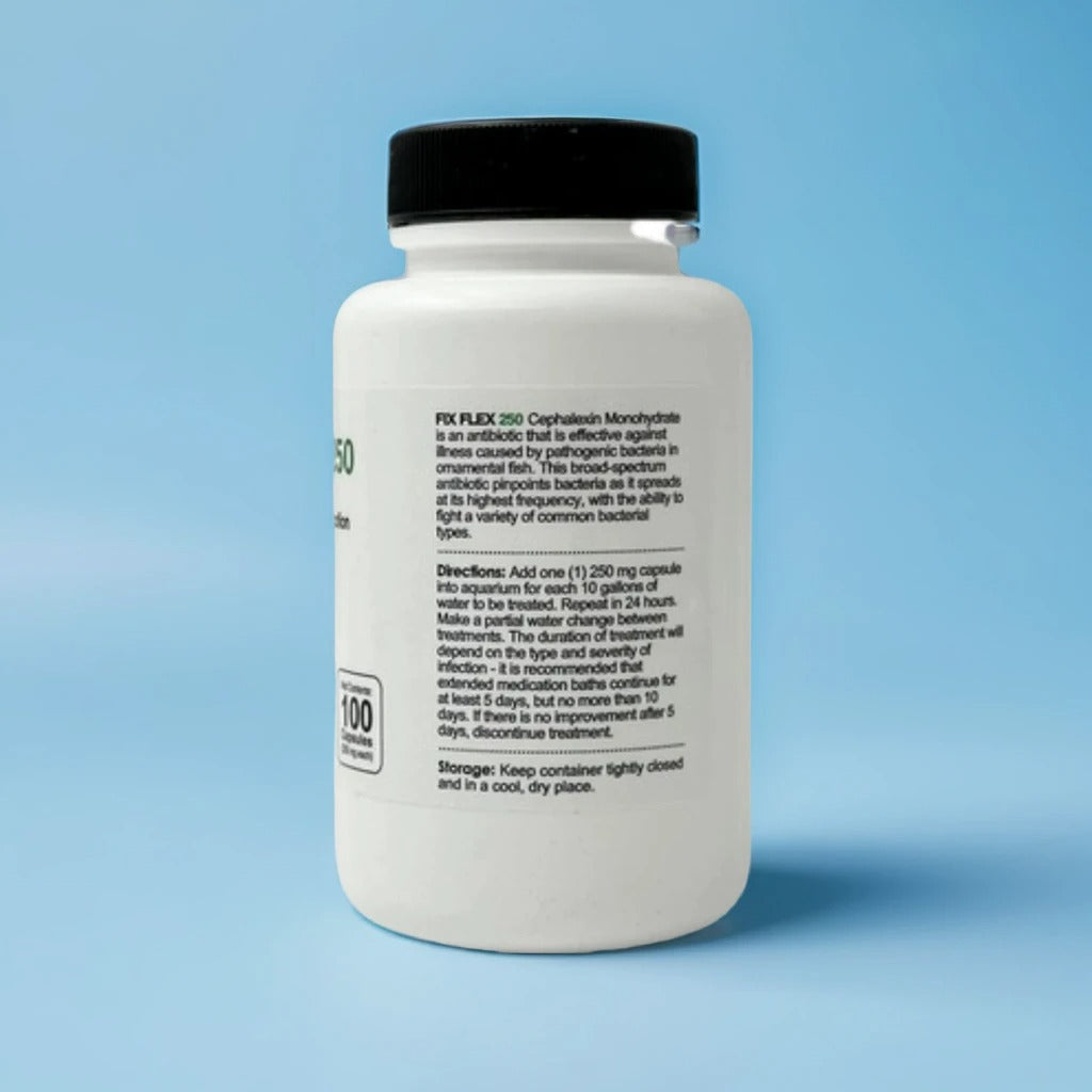 Fish Flex Cephalexin 250mg – 100 Capsules | Fish Antibiotic for Fin Rot ...