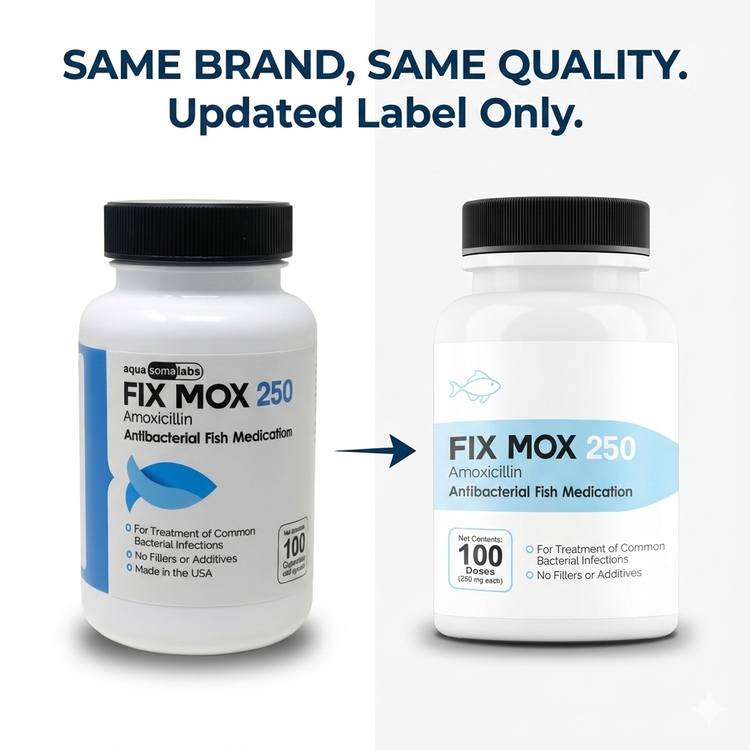 Fish Mox (Amoxicillin) 250 mg 100 Capsules