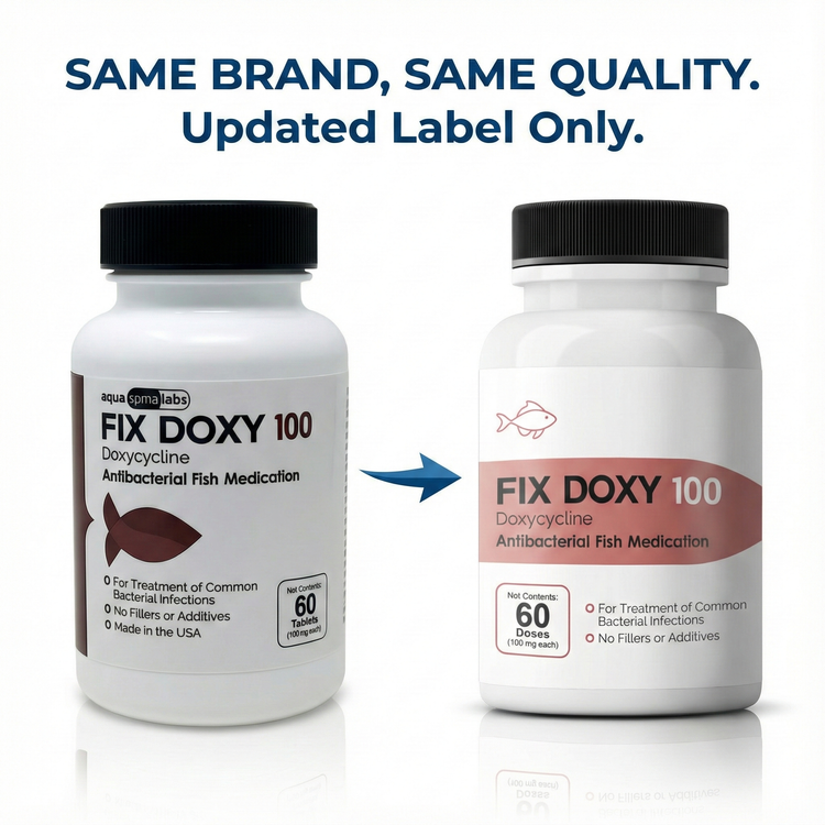 Fish Doxy Doxycycline 100mg 60 Count