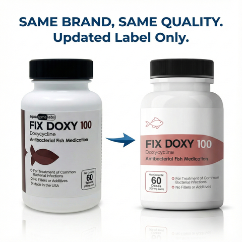 Fish Doxy Doxycycline 100mg 60 Count