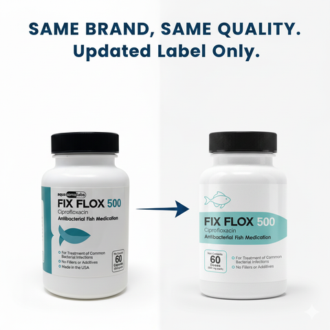 Fish Flox Ciprofloxacin 500 60 Capsules