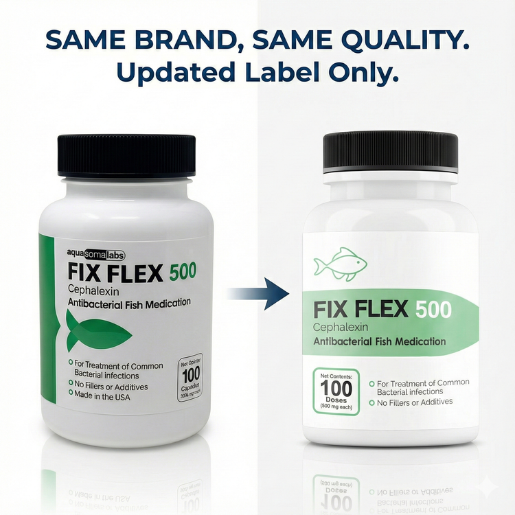 Fish Flex (Cephalexin) 500mg 100 Capsules