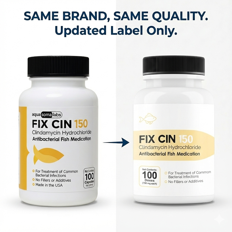 Fish Cin (Clindamycin) 150mg 100 Capsules