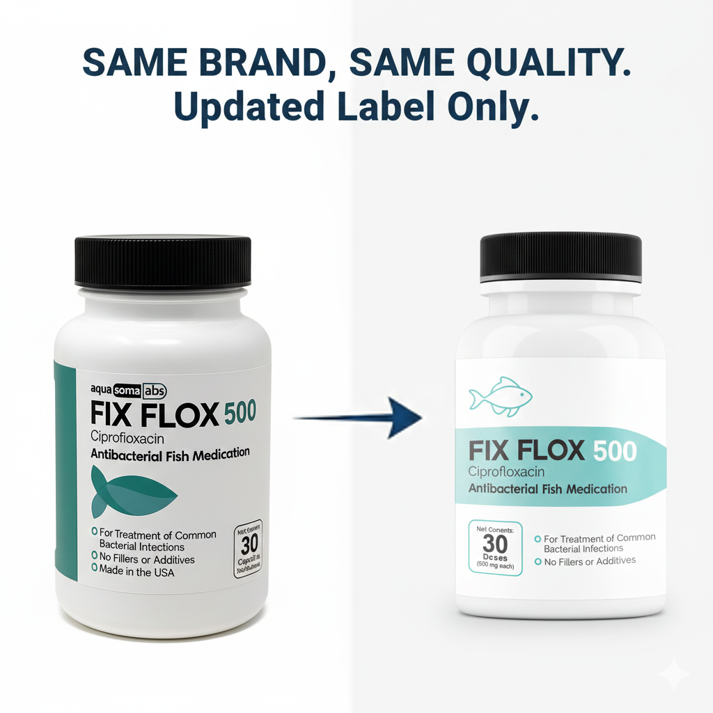 Fish Flox Ciprofloxacin 500 30 Capsules
