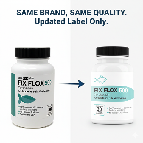 Fish Flox Ciprofloxacin 500 30 Capsules
