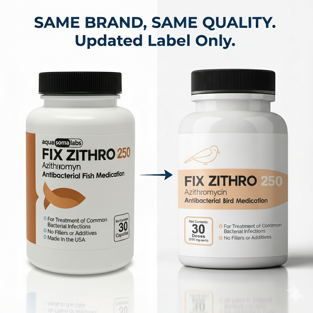 Fish Zithro (Azithromycin) 250mg 30 Tablets