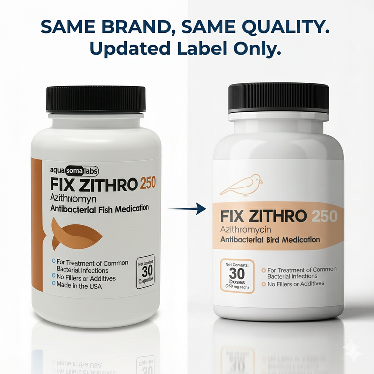 Fish Zithro (Azithromycin) 250mg 30 Tablets