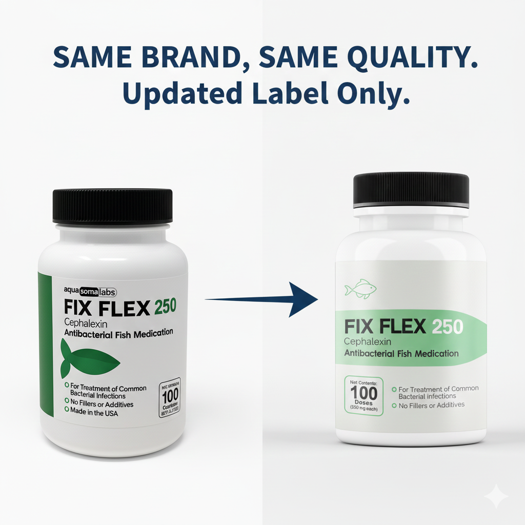 Fish Flex Cephalexin 250mg – 100 Capsules | Fish Antibiotic for Fin Rot ...