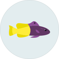 FISH MOX